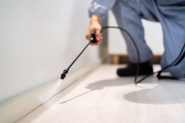 Licensed Termite Control service in Franklinton, NC - Nex Pest Control