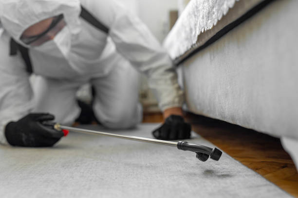 Professional Termite Control technician working in Franklinton, NC