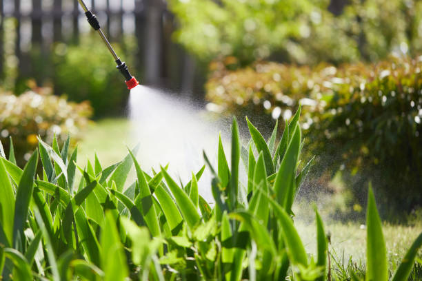 24/7 Emergency Termite Control experts in Franklinton, NC