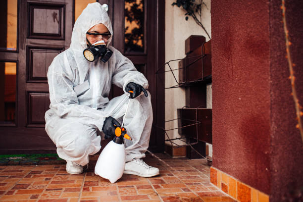 Reliable Termite Control contractor in Franklinton, NC by Nex Pest Control