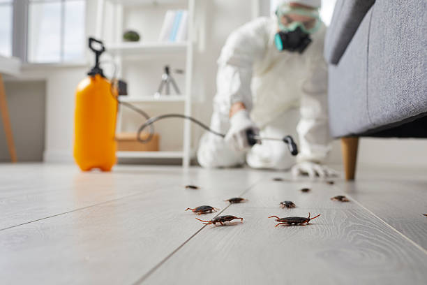 Trusted Termite Control service in Franklinton, NC - Nex Pest Control
