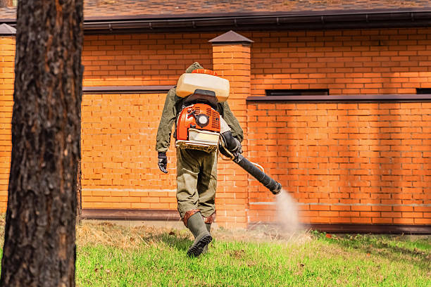 Trusted Bed Bug Control service in Franklinton, NC - Nex Pest Control